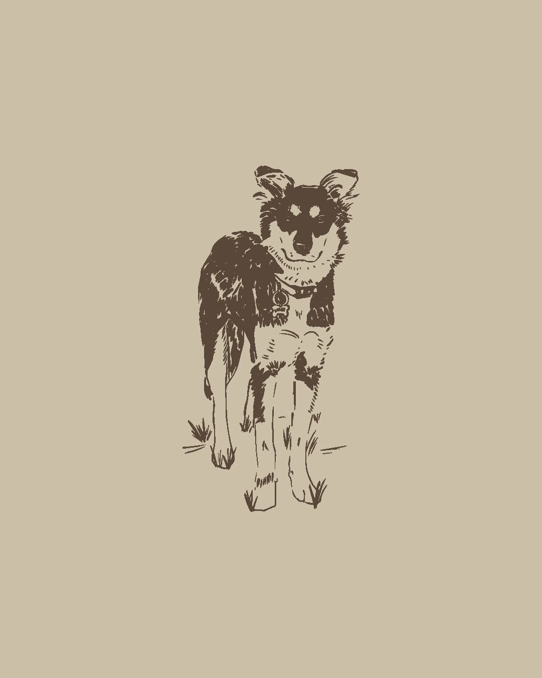 Custom Pet Portrait