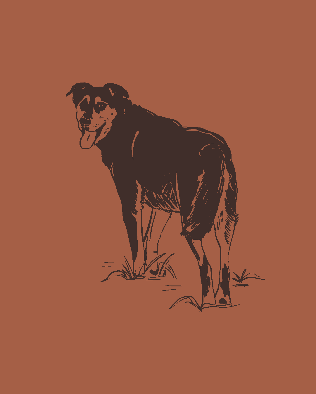 Custom Pet Portrait