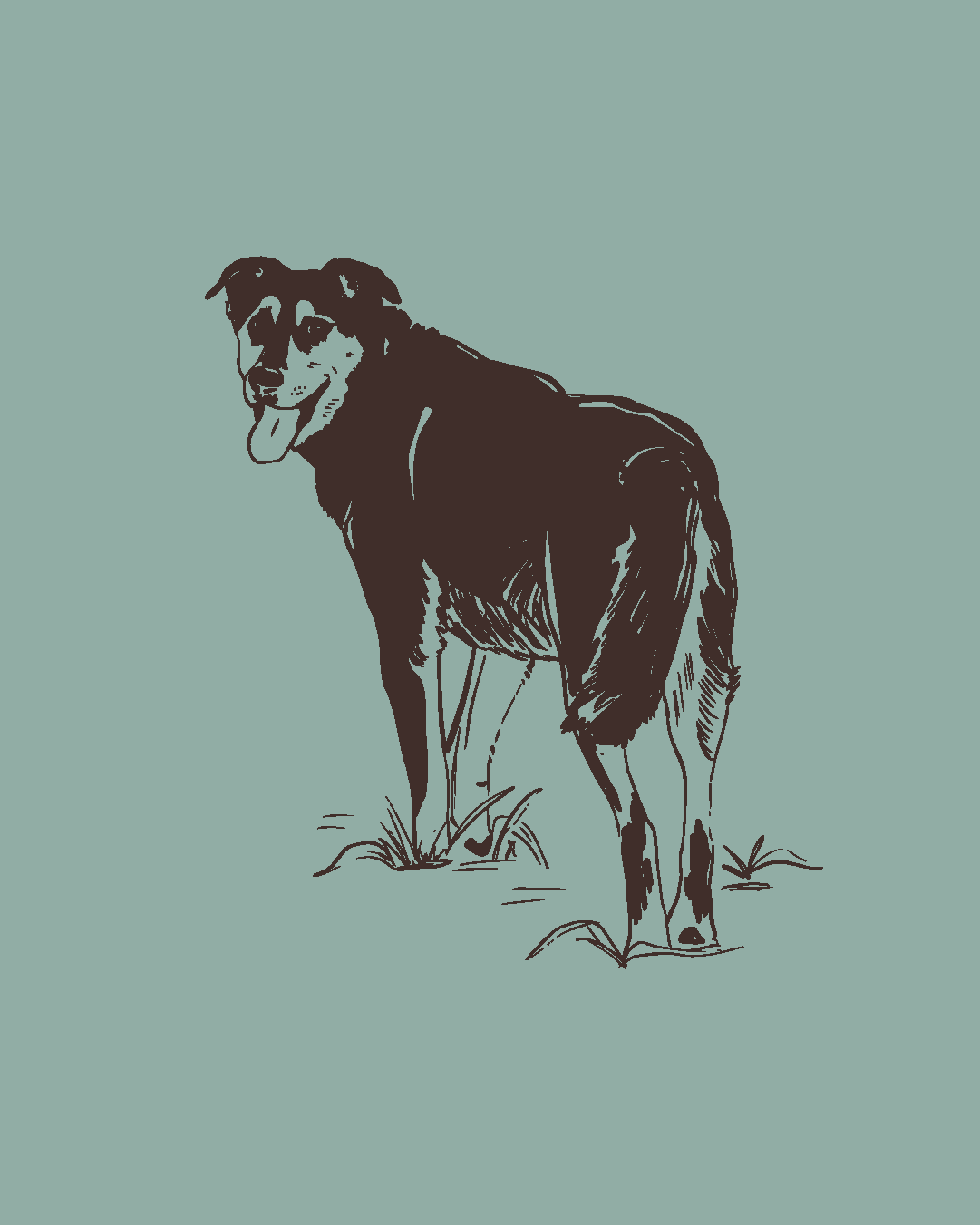 Custom Pet Portrait