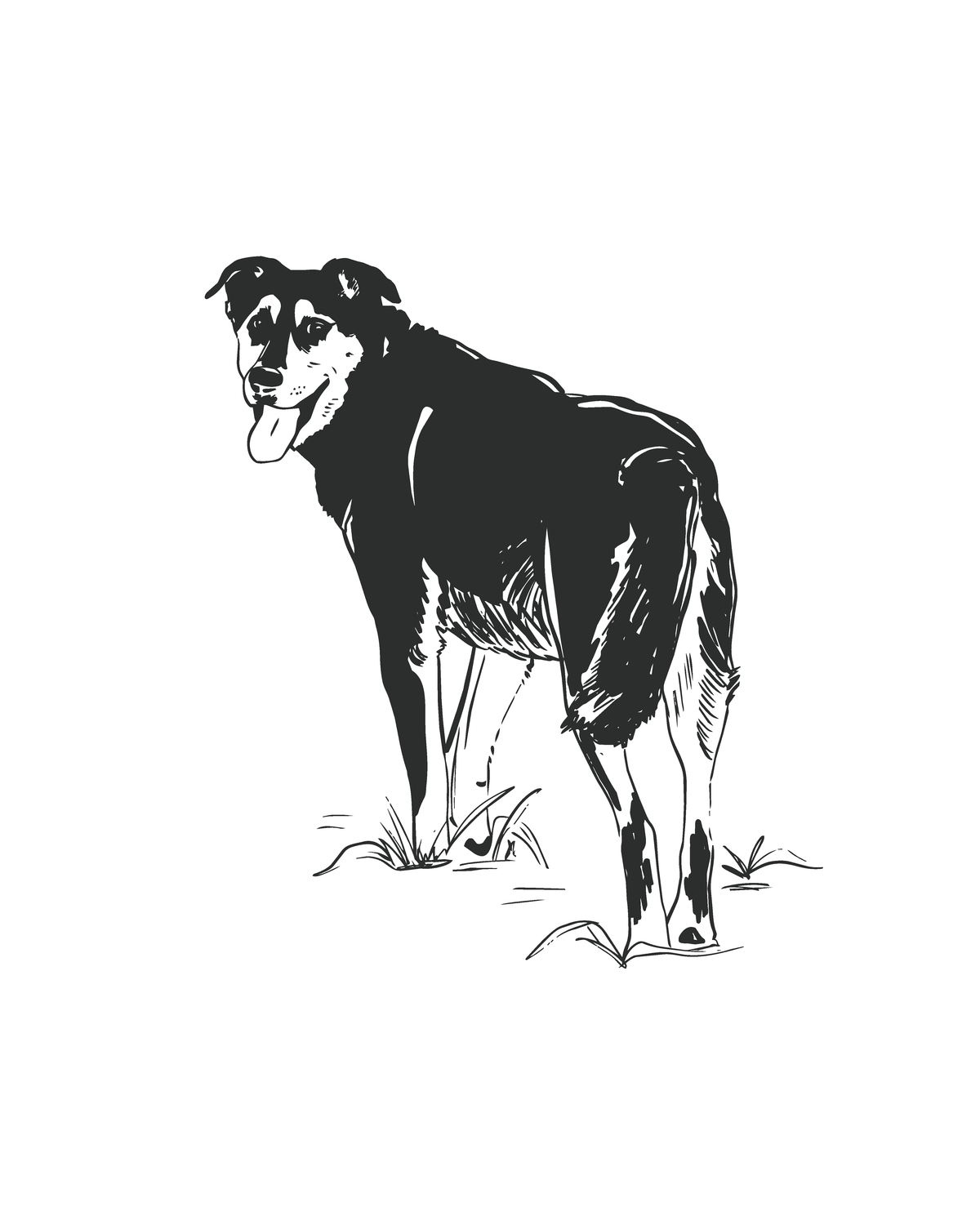 Custom Pet Portrait